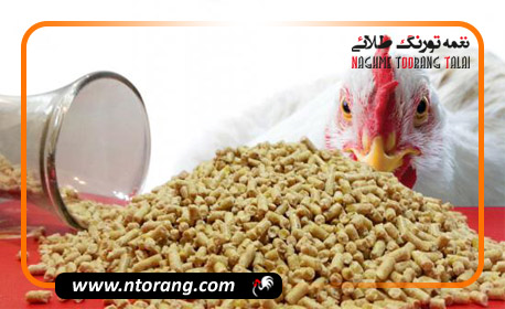 استفاده از افزودنی‌های تغذیه‌ای در دان طیور: مزایا و چالش‌ها